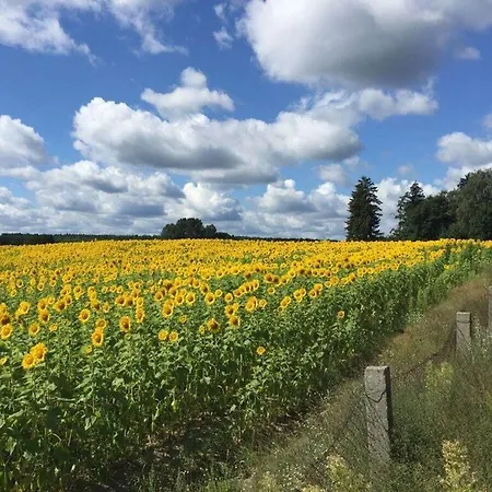 別荘 Rosi Comfortable *